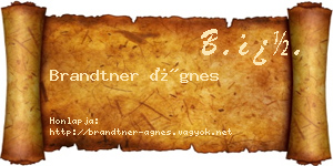 Brandtner Ágnes névjegykártya