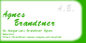 agnes brandtner business card