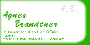 agnes brandtner business card